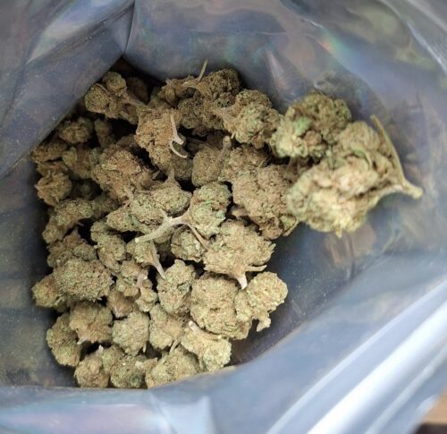 Minibud Premium Superskunk photo review